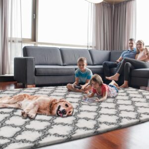 Living Room, High Pile Fluffy Rugs for Bedroom, Kids Room, Nursery