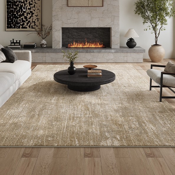 Area Rugs for Living Room Rug Washable: Modern Large Rug for Dining Room Bedroom Carpet Non Slip